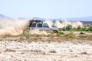 Our jeeps race through the desert at breakneck speed, raising clouds of dust, visible for miles around