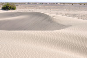 It was the biggest ridge of wind-blown sand on our way from the Hamed Ela village to Erta Ale