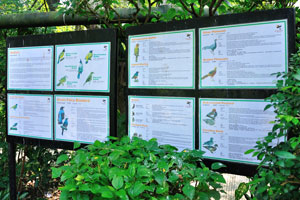 Two information boards about the birds in the park