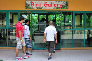 Entrance to the “Bird Gallery”