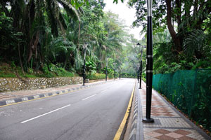 This road connects bird park and butterfly park