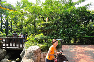 The bird park is conveniently situated for the city centre within the large botanical gardens