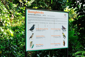 Information board about Songbirds