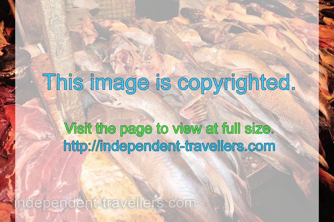 Large specimens of fish and huge pieces of meat for sale