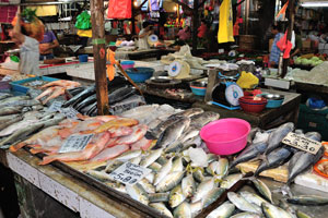 Selar Tempatan costs 5 RM per 500 grams, Tilapia costs 12 RM per 1 kg, Tuna costs 3.3 RM per 500 grams