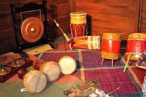 Diversity of the ancient drums