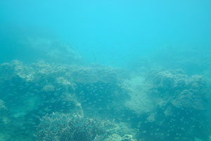 Перхентианские острова (три тропы на остр. Бесар) и подводная съёмка во время сноркелинга