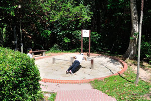 Push-up stand in Telok Blangah Hill Park