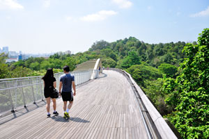 Henderson Waves connects Mount Faber Park and Telok Blangah Hill Park