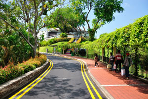 Faber Walk, of which many parts are sheltered, meanders through Mount Faber Park