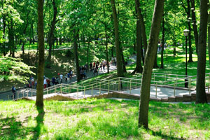 A stairway is in the park