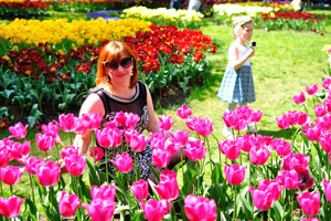A good-looking belarusian woman is in the midst of magenta tulips