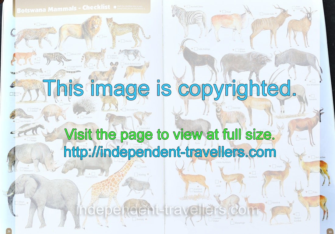 The tourist map: “Botswana Mammals - Checklist” (pages 29-30)