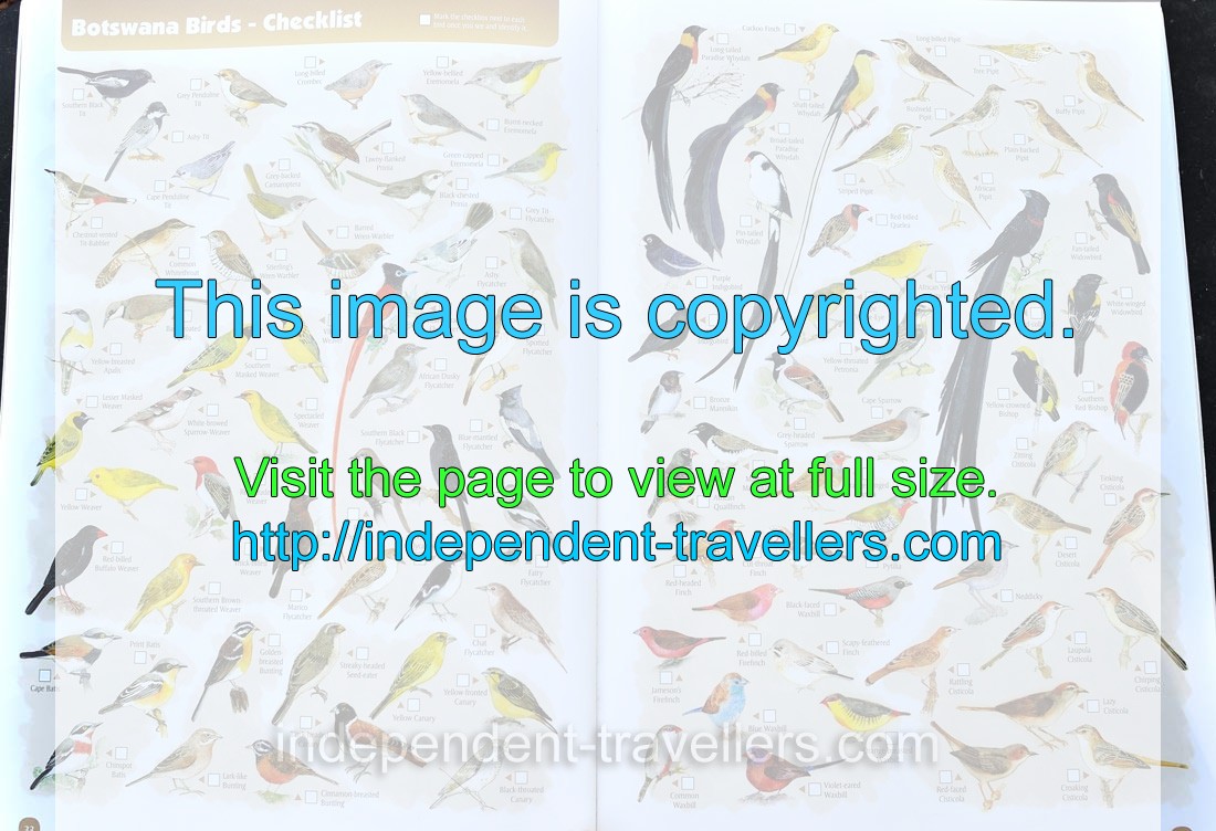 The tourist map: “Botswana Birds” (pages 33-34)