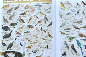 The tourist map: “Botswana Birds” (pages 37-38)