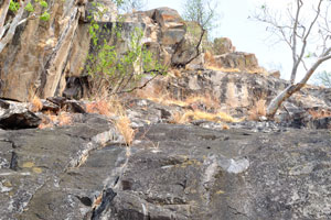 The rock with Bushman Art