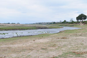 The Chobe river