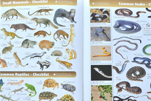 The tourist map: “Small Mammals, Snakes” (pages 31-32)