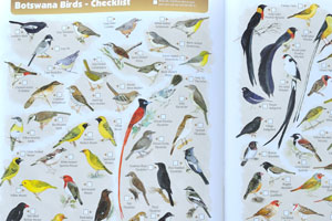 The tourist map: “Botswana Birds” (pages 33-34)