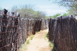 “Bird Hide” fenced trail