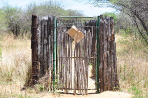 “Bird Hide” entrance gate
