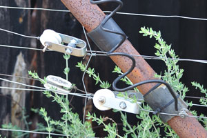 A fragment of the electric fence