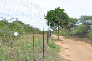 This is the electric fence of the animal sanctuary