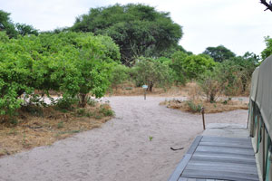 A footpath between safari tents