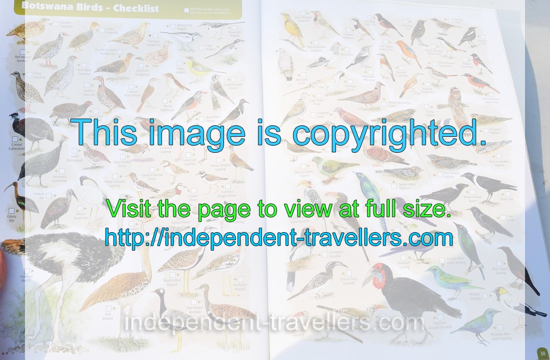The tourist map: “Botswana Birds” (pages 37-38)