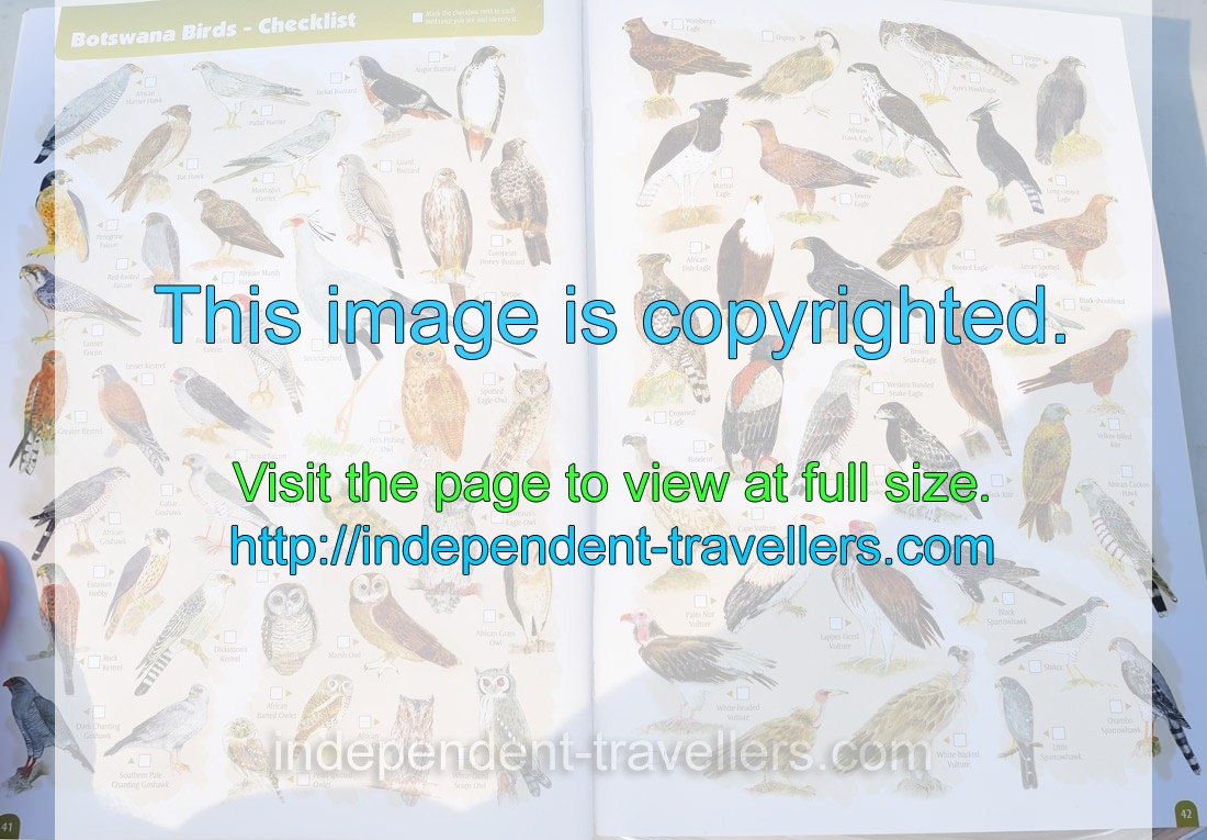 The tourist map: “Botswana Birds” (pages 41-42)