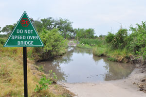 The road sign located before the large puddle at the Third Bridge reads: “Do Not Speed Over Bridge”