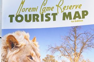 The front cover of the Moremi Game Reserve tourist map