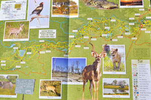The tourist map: “Khwai, North Gate - Dombo Hippo Pools” (pages 19-20)