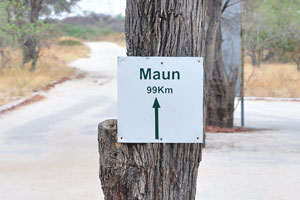 99 kilometers is the distance from Moremi South Gate to the town of Maun