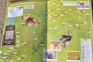 The tourist map: “Khwai, Magotho, Sable Alley, Matswere Campsites” (pages 21-22)