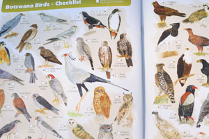 The tourist map: “Botswana Birds” (pages 41-42)