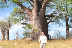 I stand in front of Baines Baobabs