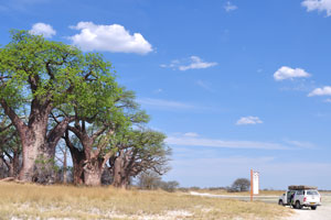 The Toyota Hilux 4x4 is parked near Baines Baobabs