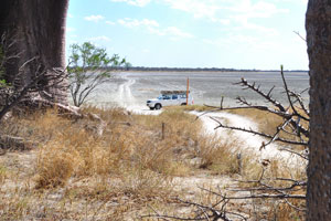 The Toyota Hilux 4x4 as seen from the clump of Baines Baobabs