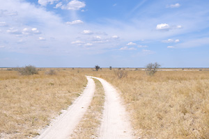 A country road