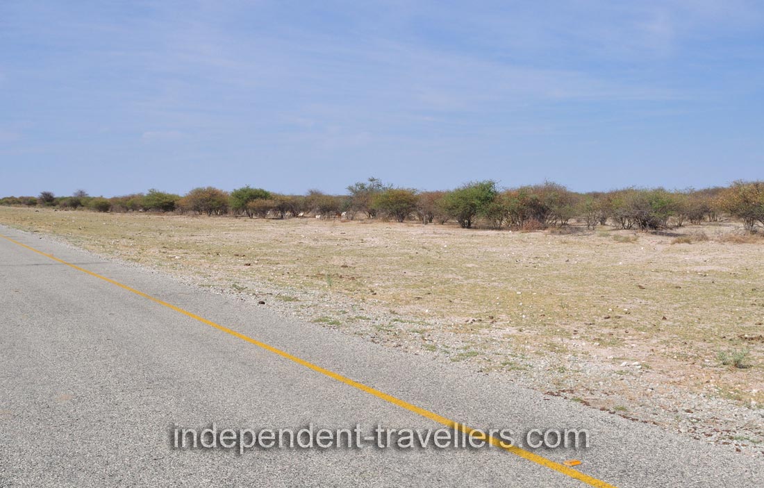 This landscape surrounds B300 road