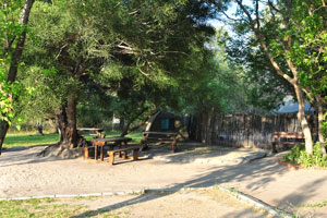 Motsebe Backpackers campsite is located on the bank of the Thamalakane river