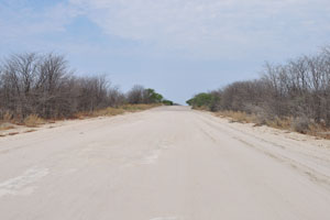 This road connects Maun to Moremi South Gate