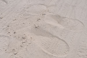 Elephant footsteps are on the road between Maun and Moremi South Gate