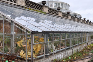 Glasshouses of the botanical garden contain succulents