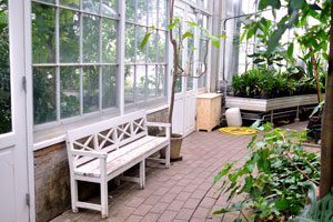 A comfortable wooden bench is in the Palm House