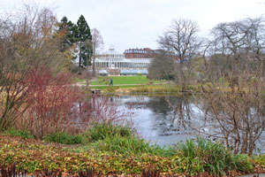 The pond is on the background of the Palm House