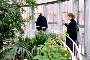 Two young women are wandering on the top level of the Palm House