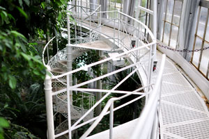 The top level of the Palm House is made from metal