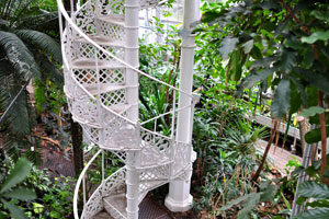 The cast-iron spiral stairs is situated in the centre of the Palm House